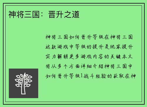 神将三国：晋升之道